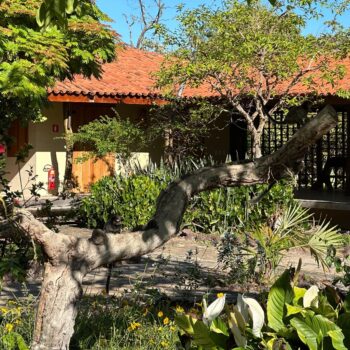 The lovely gardens and courtyard at Pousada Trijuncao in Brazil's Cerrado