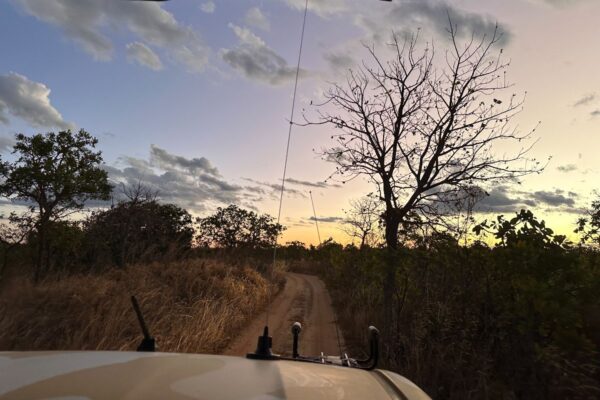 Onçafari tracking outing at dusk in the Cerrado