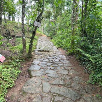 Trail on the Caminho do Ouro in Paraty